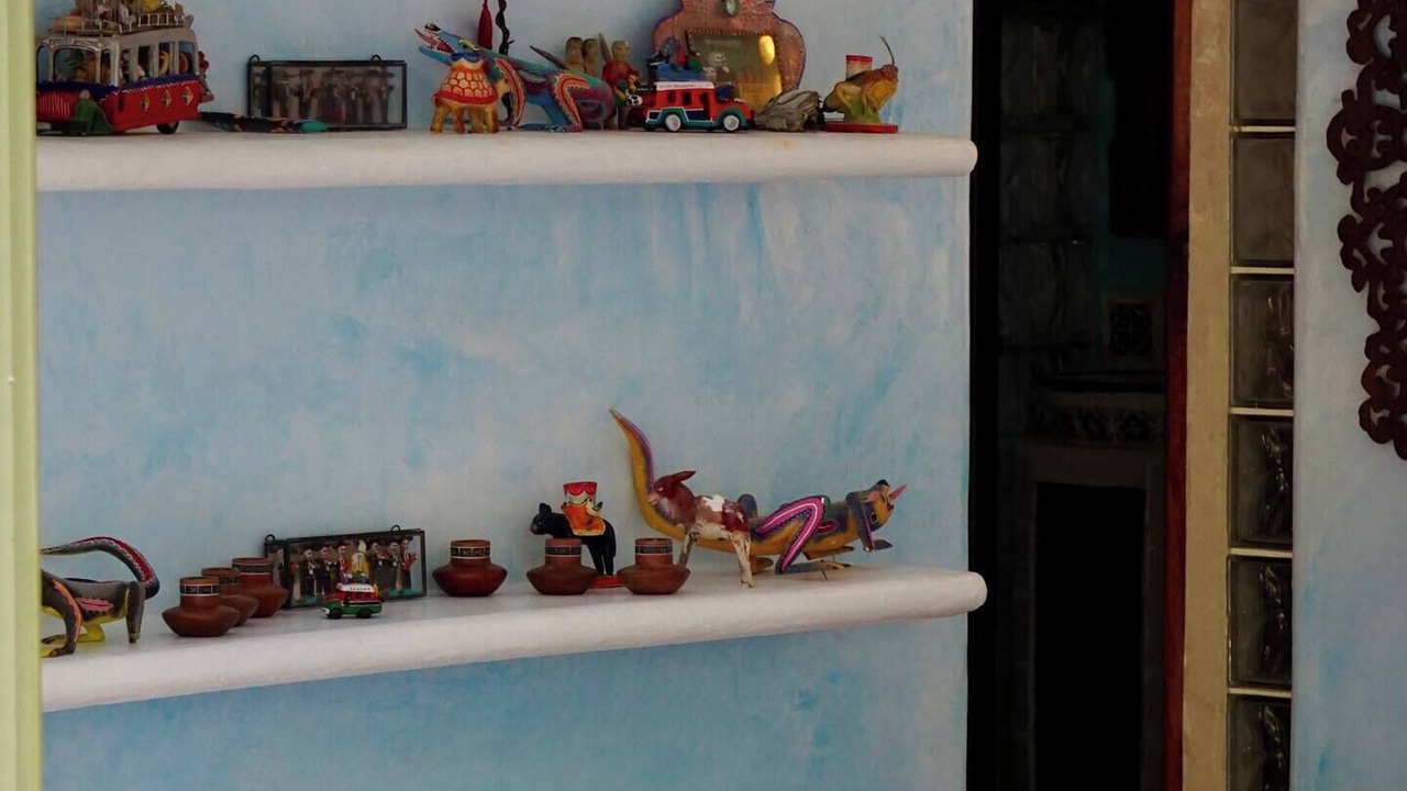 Photo of Others in Mascota