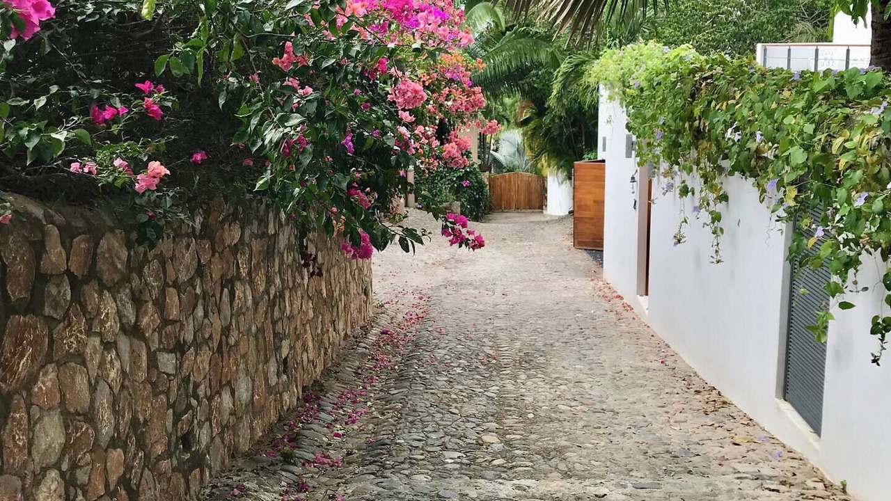 Photo of Outdoor in Mascota