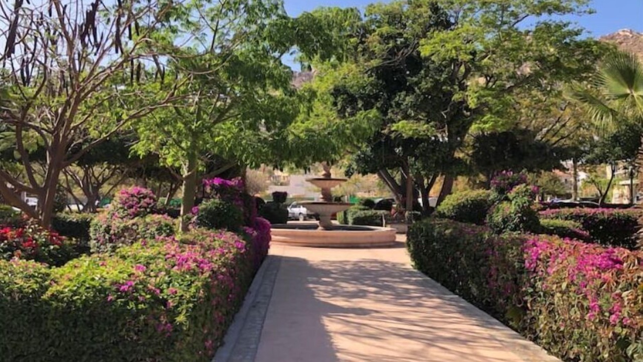 Photo of Outdoor in Pedregal