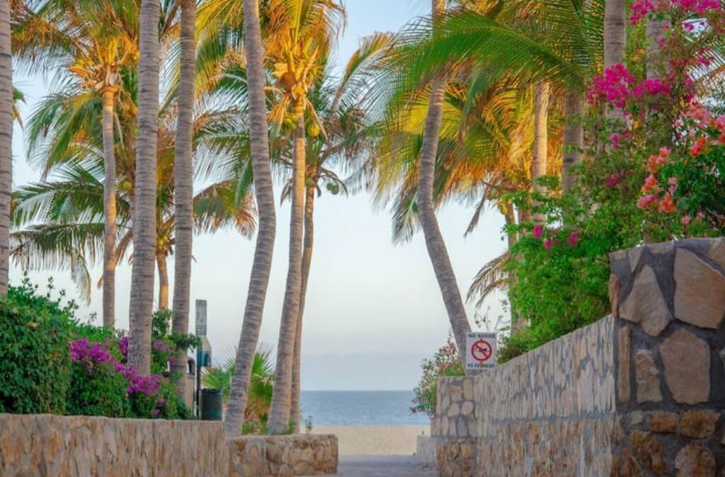 Photo of Outdoor in Pedregal