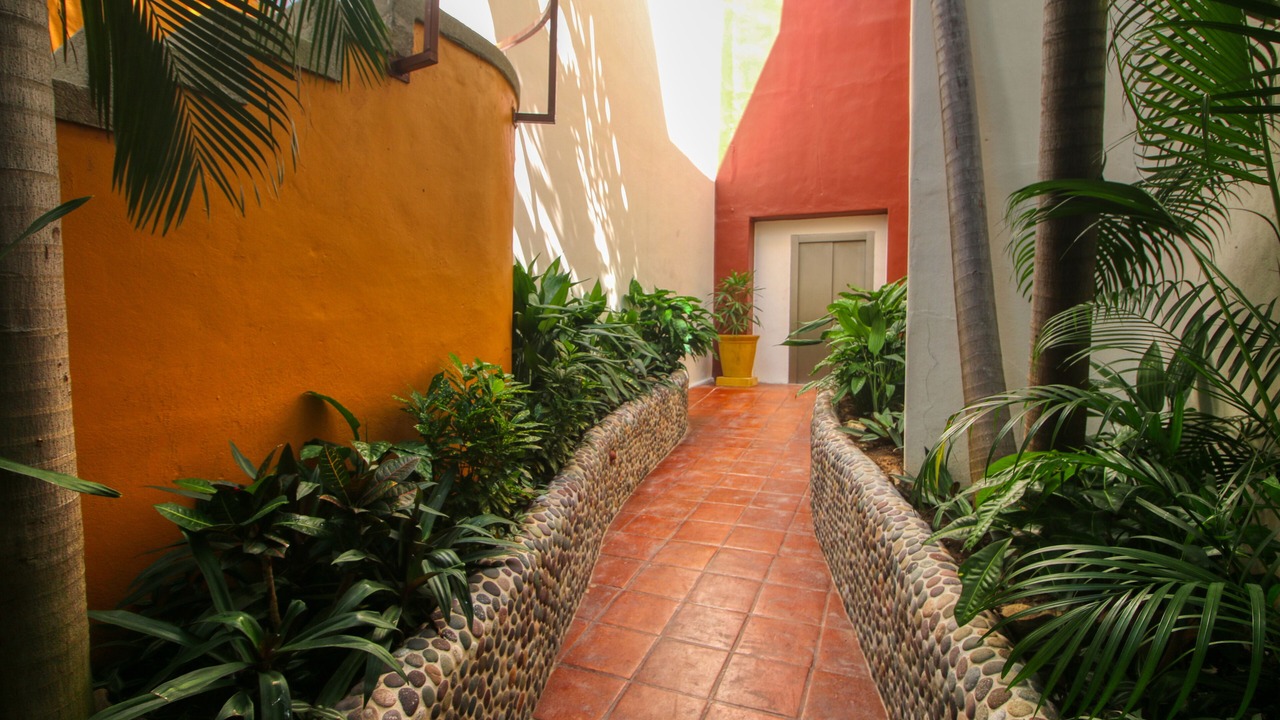 Photo of Others in Zihuatanejo