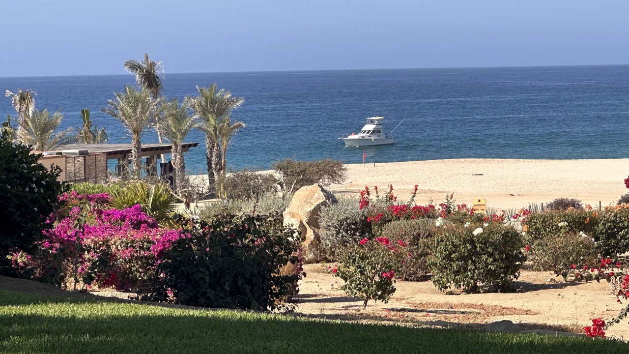 Photo of Others in San Jose del Cabo