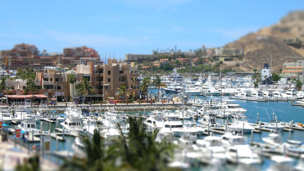 Photo of Others in Marina
