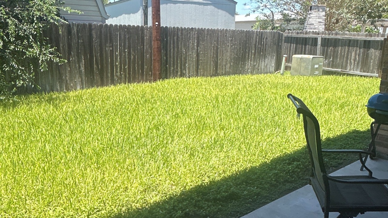Photo of Outdoor in Mission