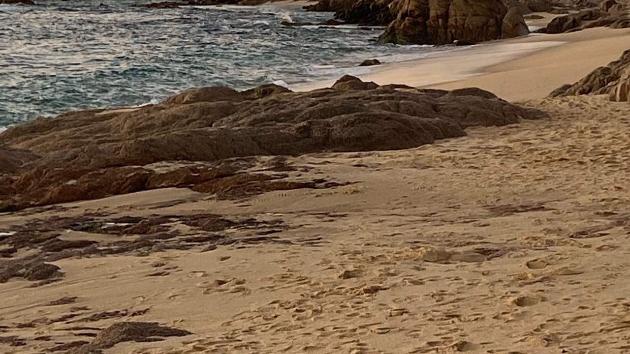 Photo of Others in El Tezal