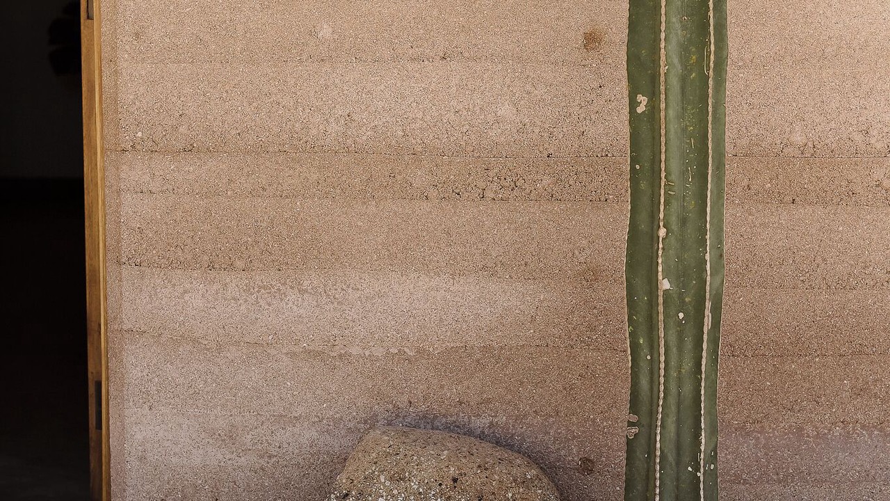 Photo of Outdoor in Todos Santos