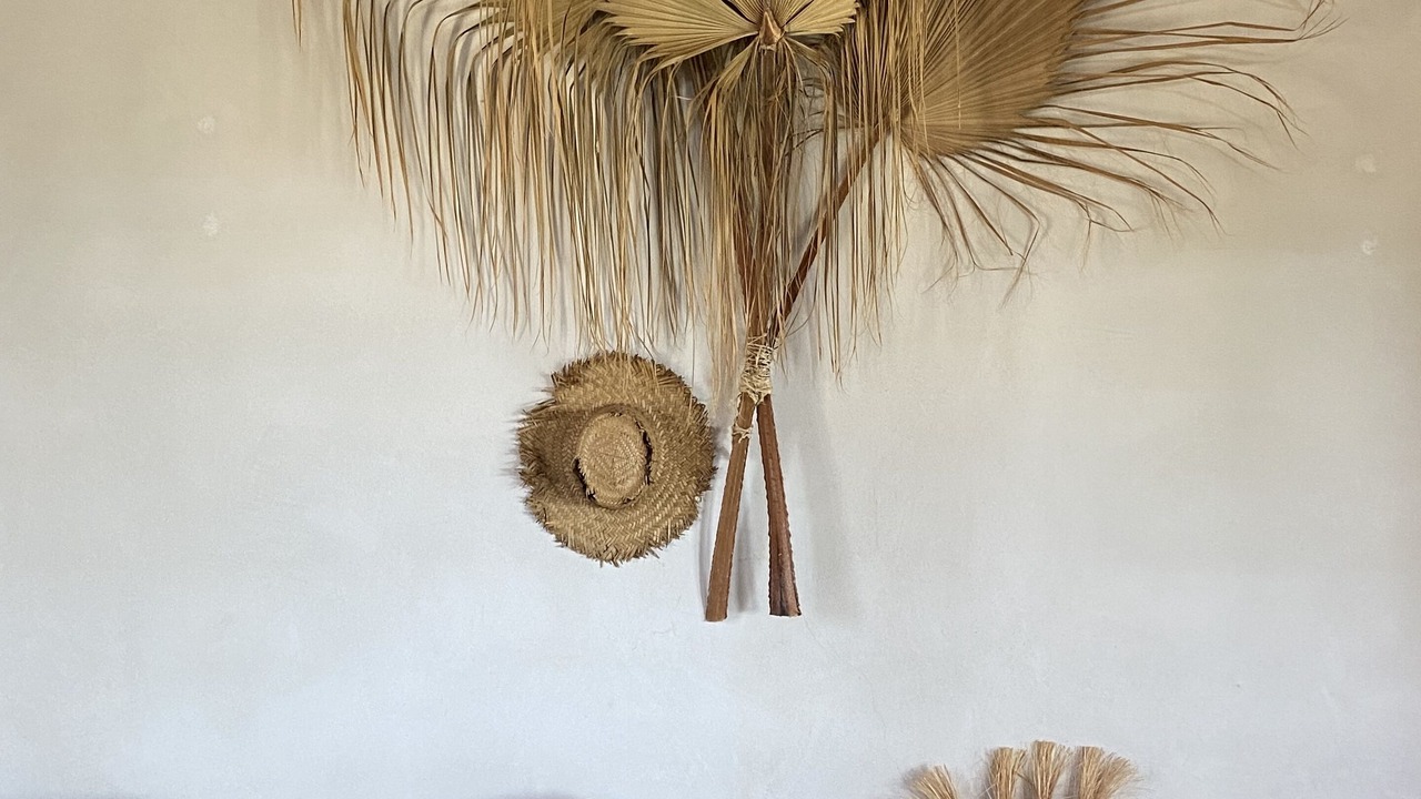 Photo of Others in Todos Santos