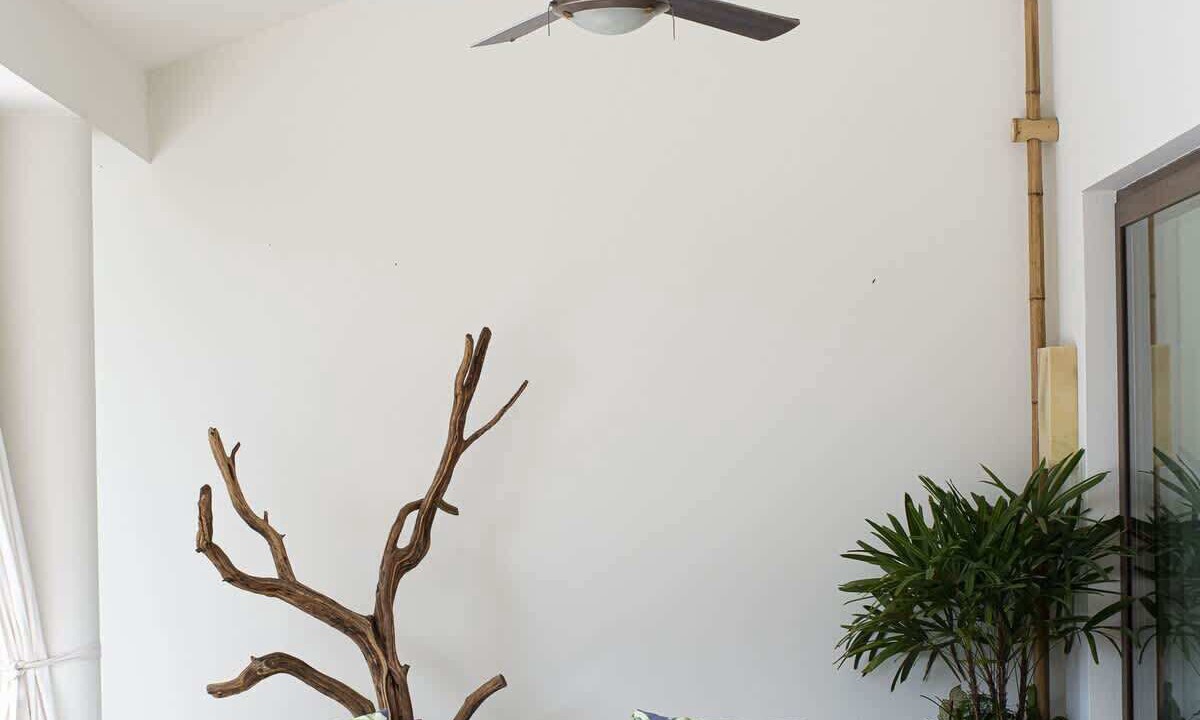 Photo of Outdoor in Punta de Mita