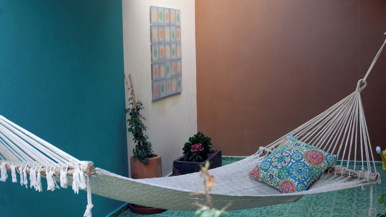 Photo of Outdoor in Todos Santos