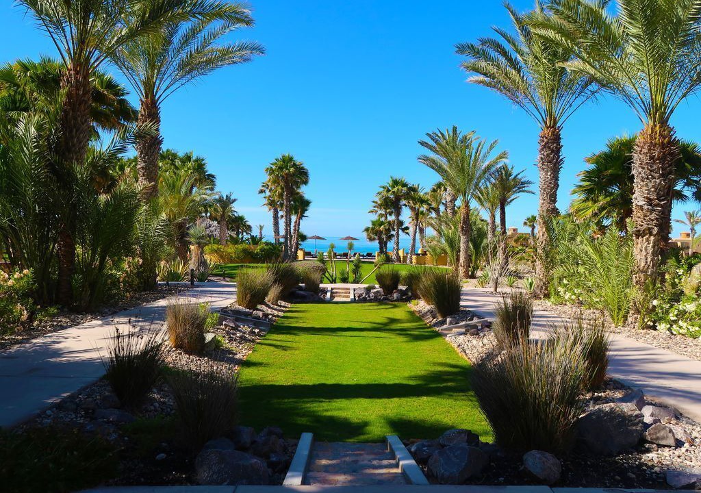 Photo of Others in Puerto Penasco