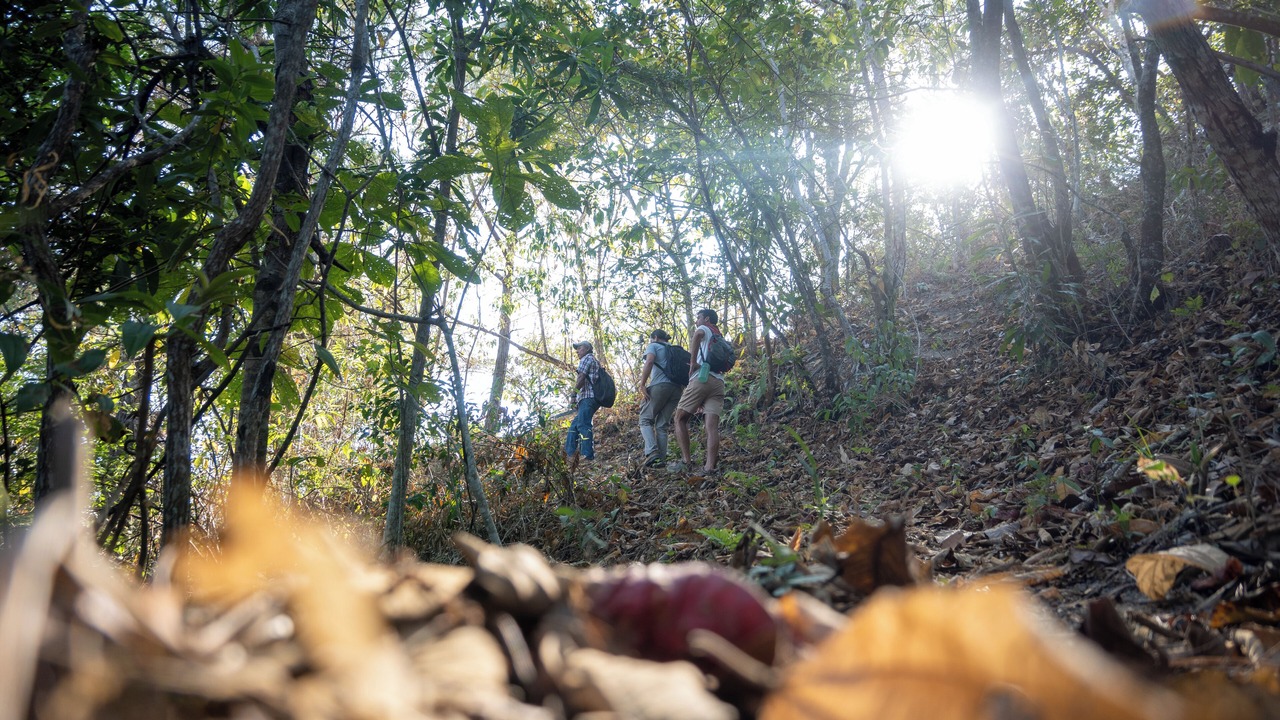 Photo of Others in Santa Maria Huatulco