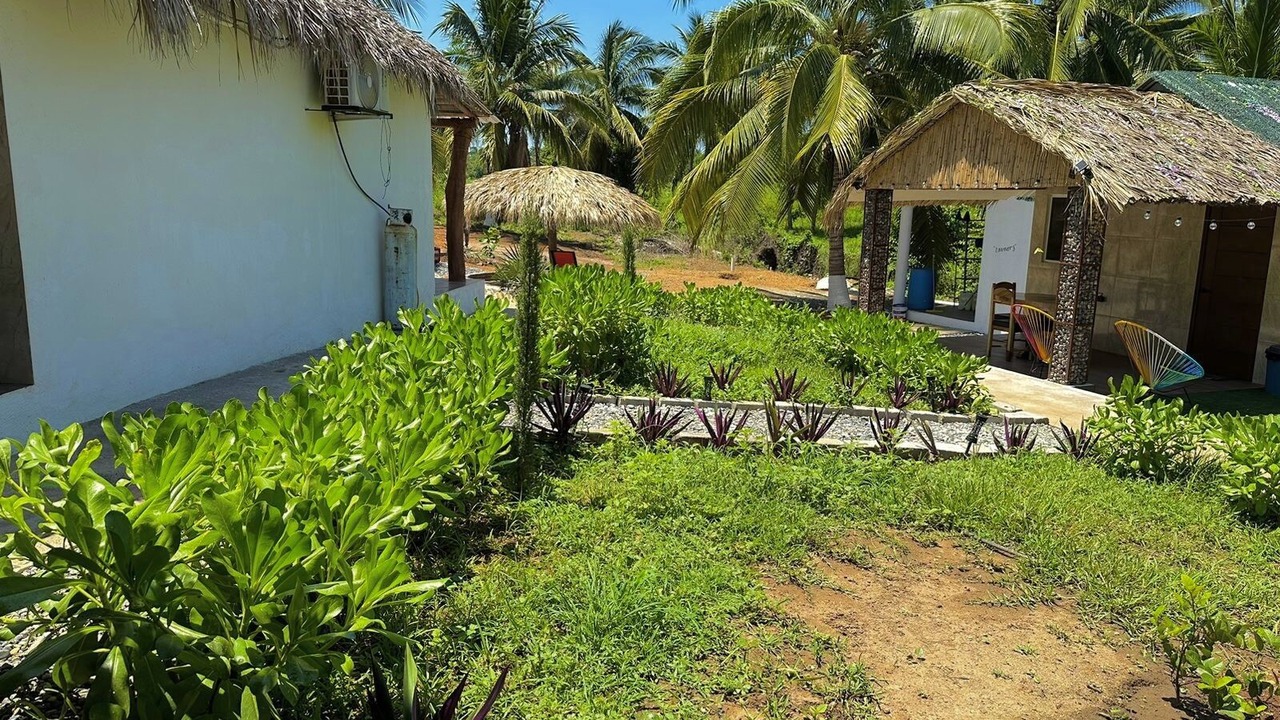 Photo of Outdoor in Saladita