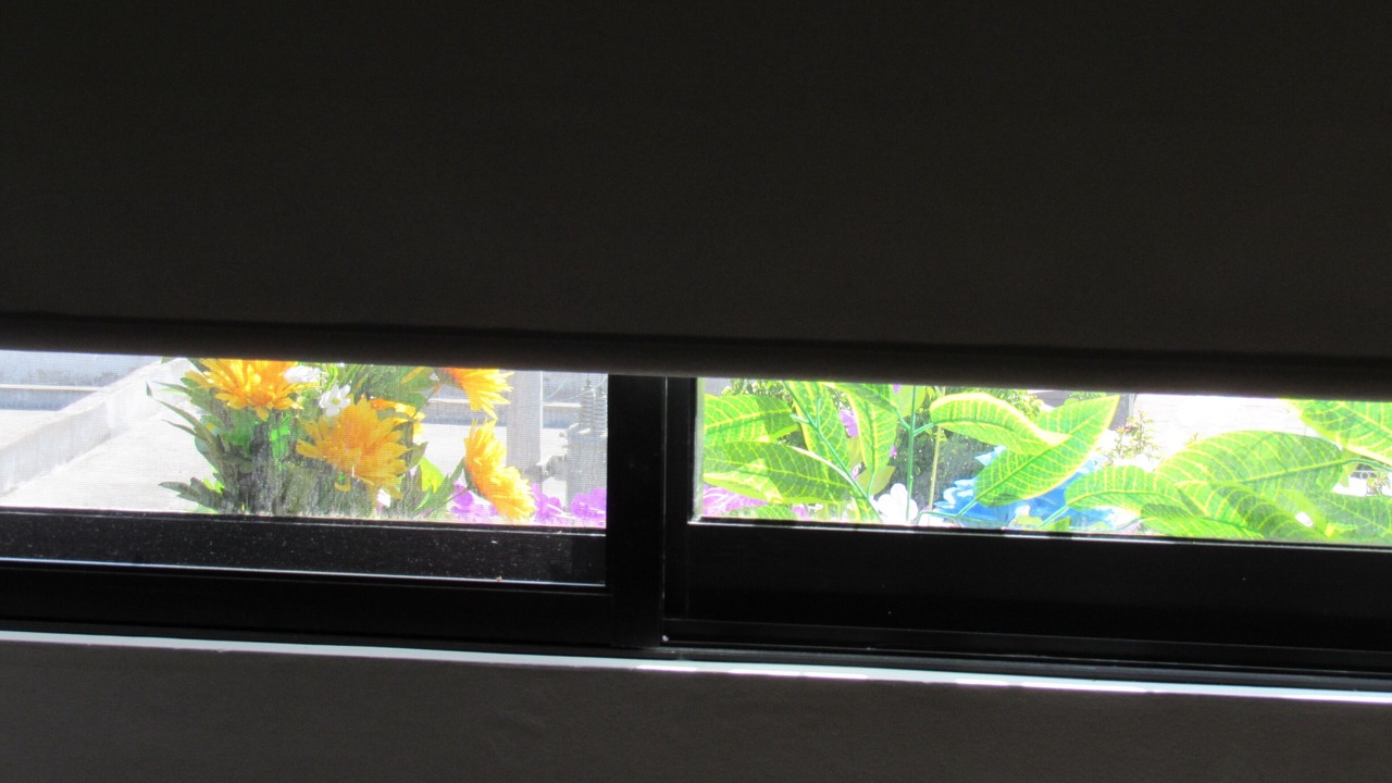 Photo of Others in Mazatlan