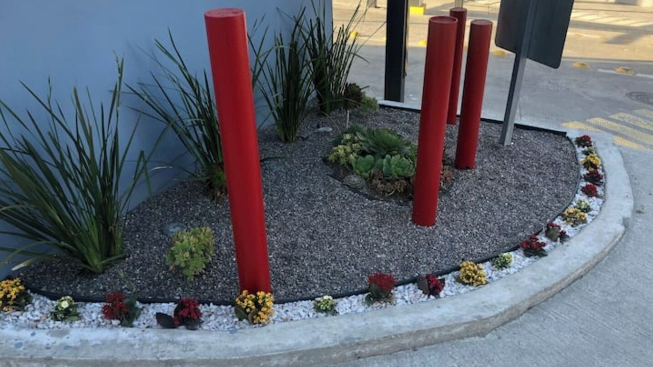 Photo of Outdoor in La Joya