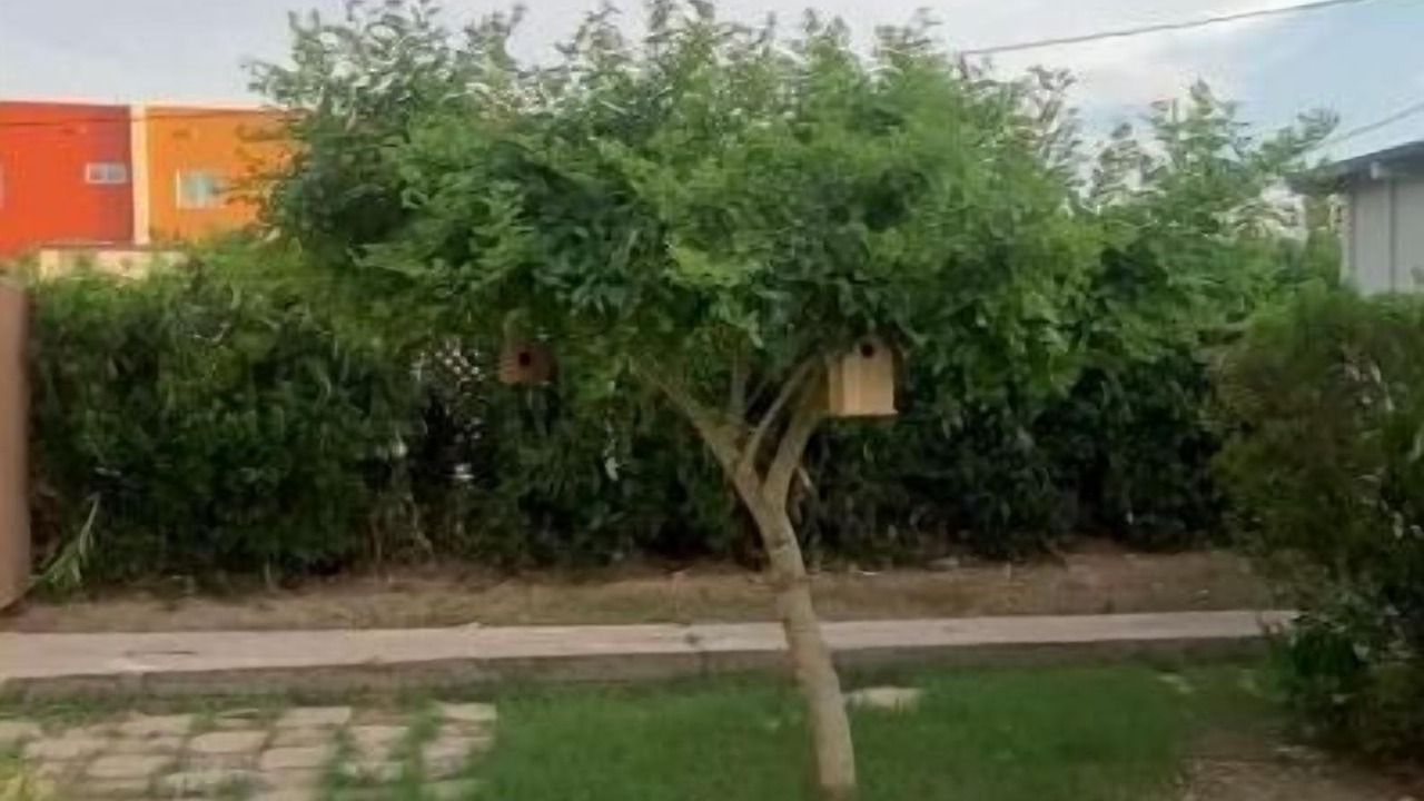 Photo of Outdoor in Camelback East
