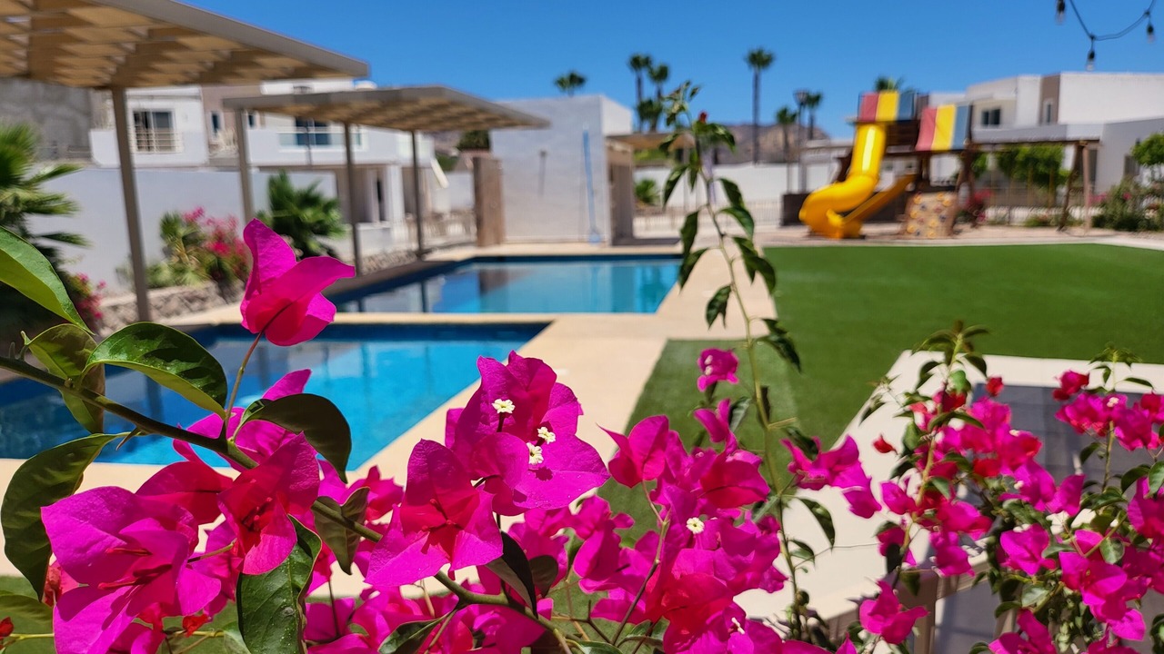 Photo of Outdoor in San Carlos