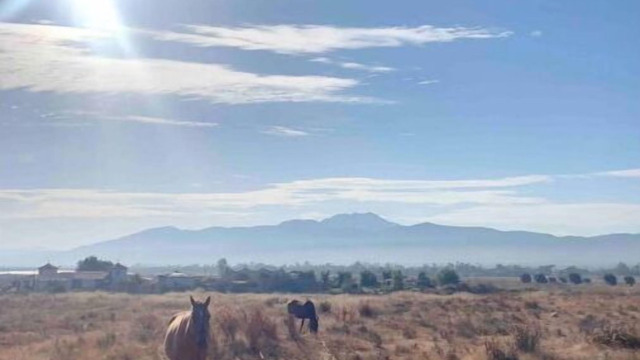 Photo of Others in Valle de Guadalupe