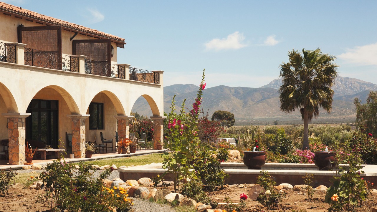 Photo of Outdoor in Valle de Guadalupe