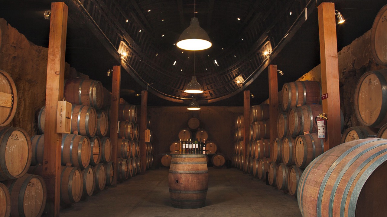 Photo of Others in Valle de Guadalupe