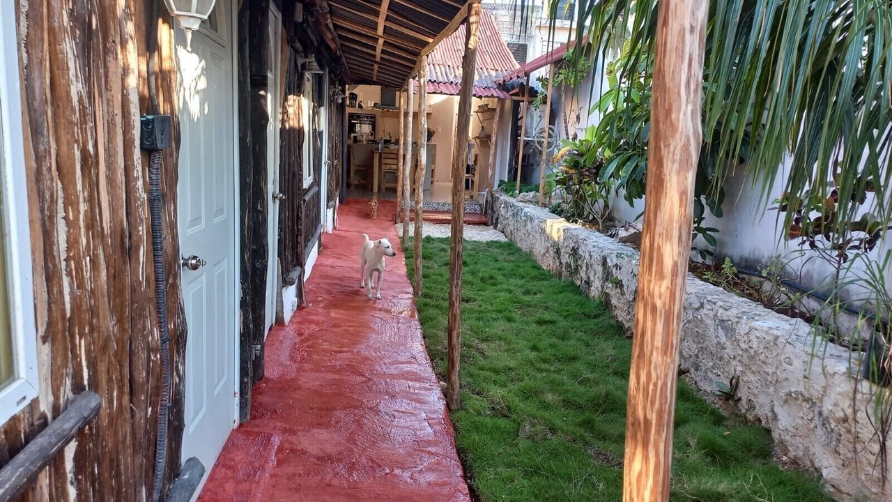Photo of Outdoor in Tulum City Center
