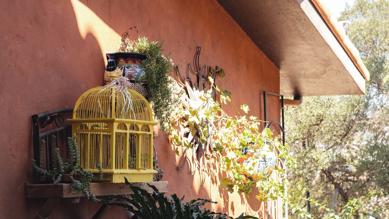 Photo of Outdoor in San Antonio de las Minas