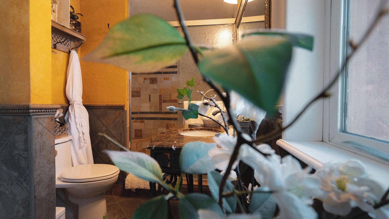 Photo of Bathroom in San Antonio de las Minas