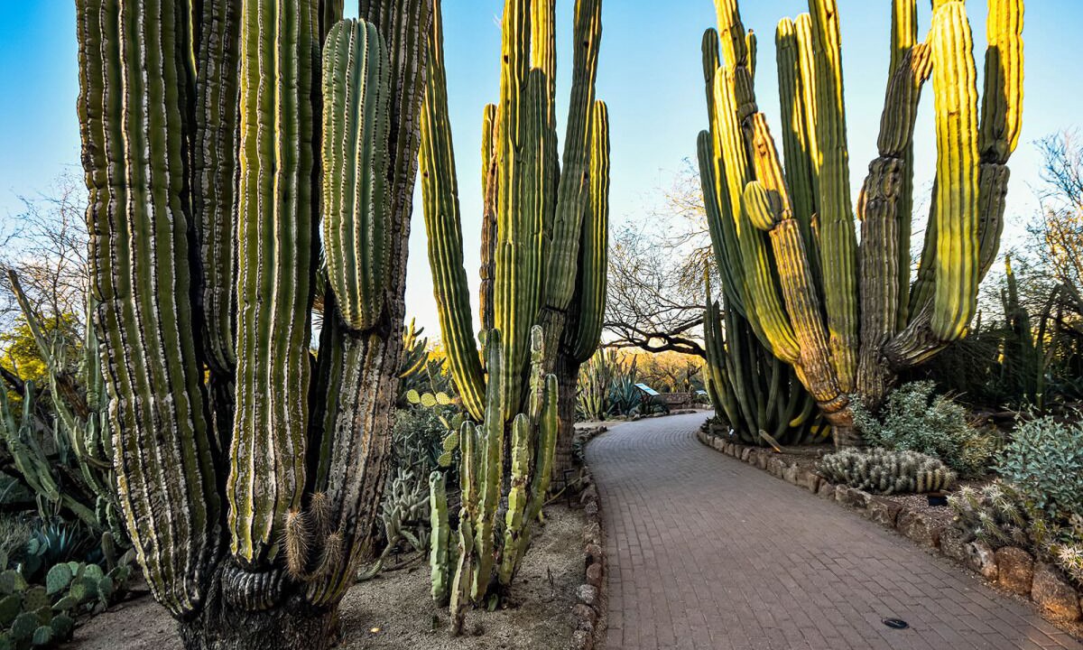 Photo of Others in Camelback East