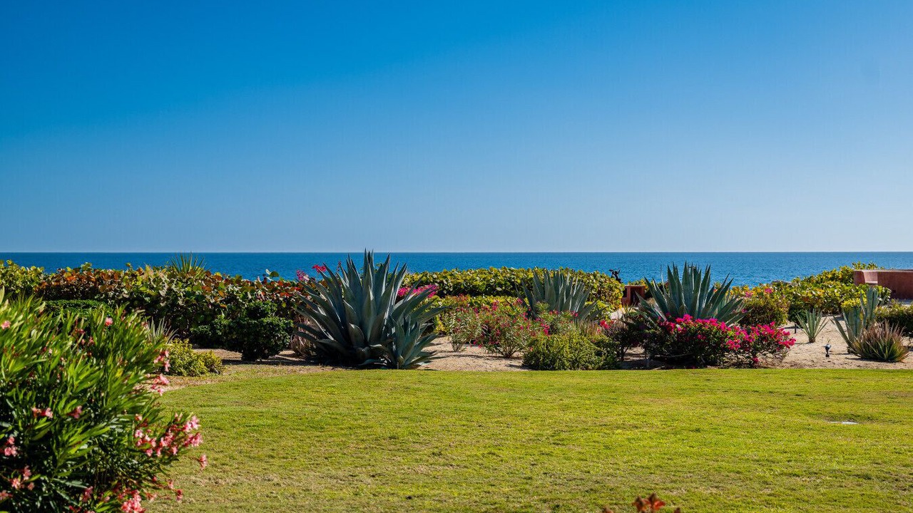 Photo of Others in San Jose del Cabo