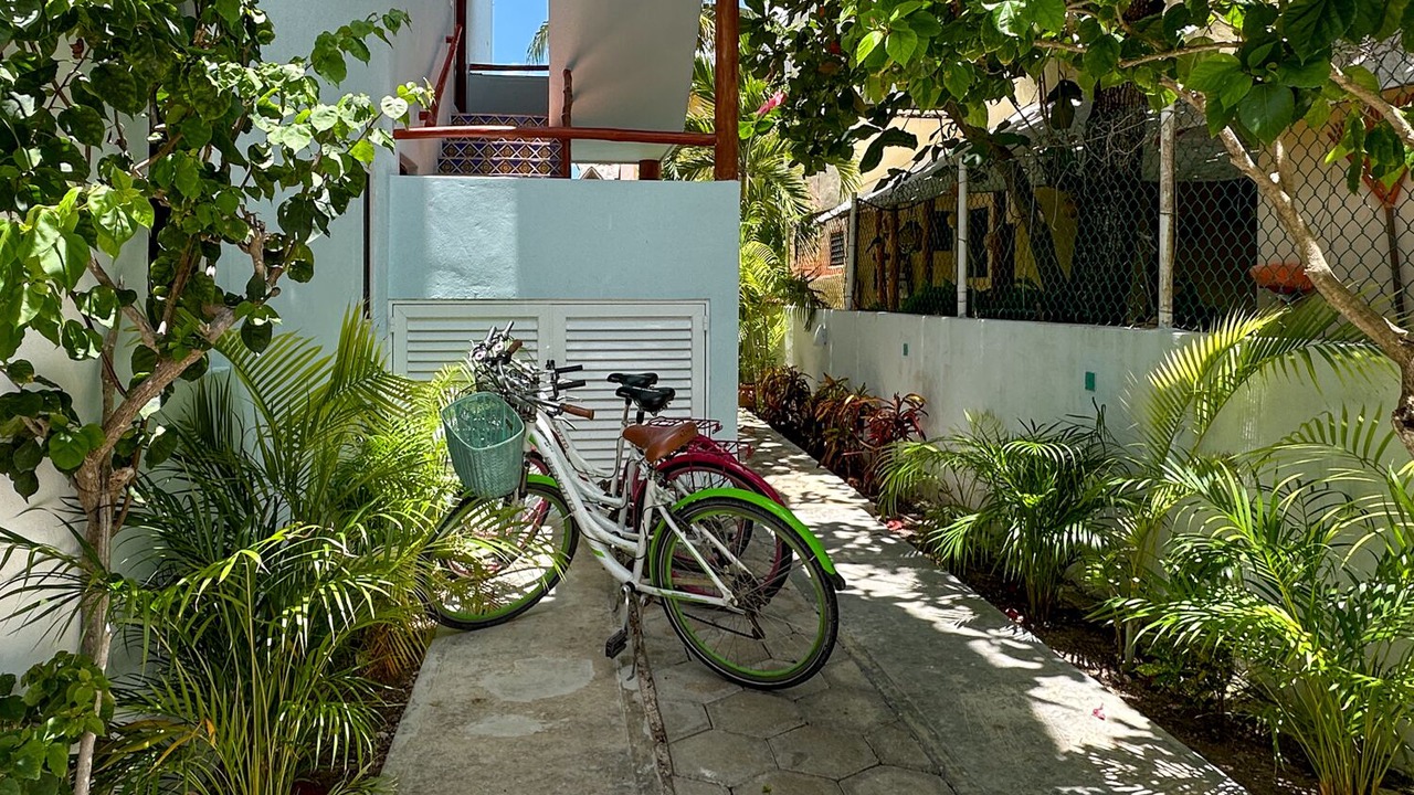 Photo of Outdoor in Puerto Morelos