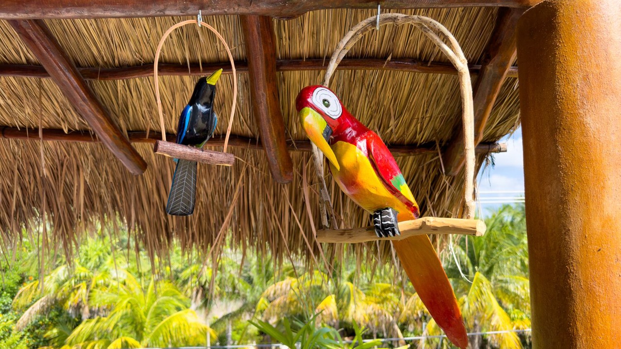 Photo of Others in Puerto Morelos