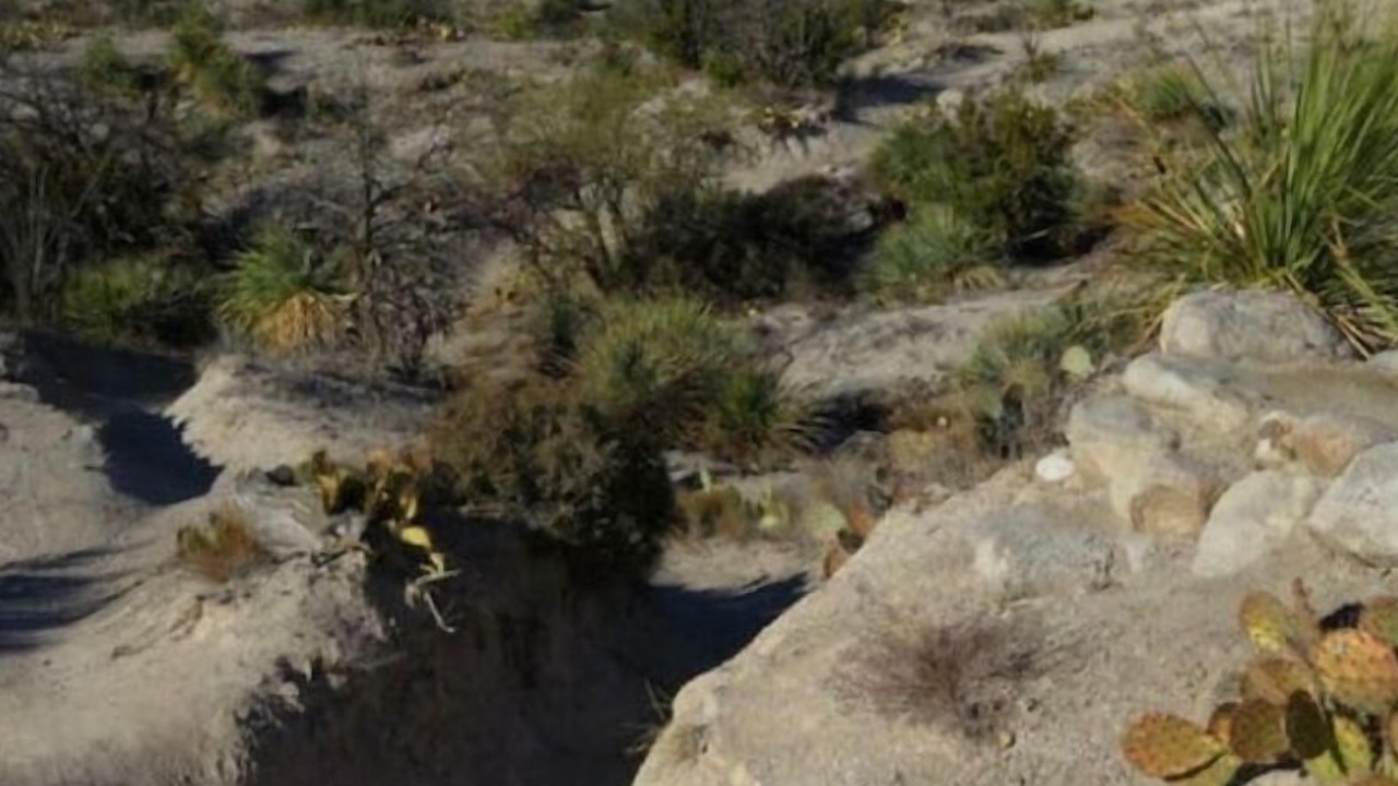 Photo of Outdoor in Catalina