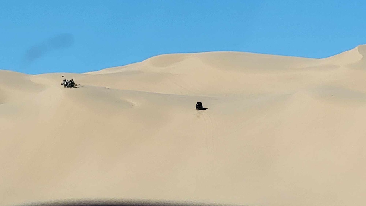 Photo of Others in Palo Verde