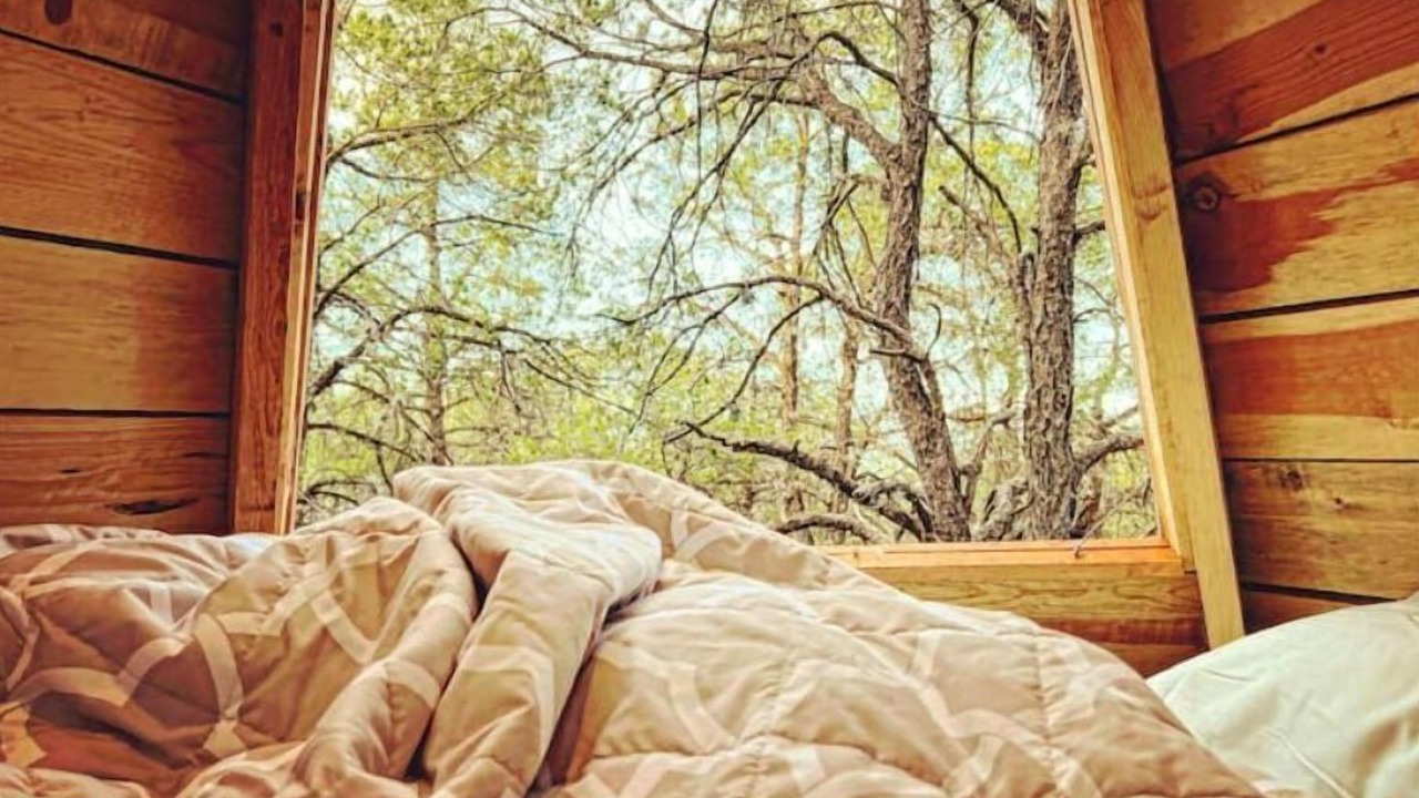 Photo of Bedroom in Saltillo