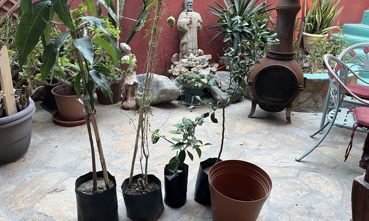 Photo of Outdoor in El Puerto