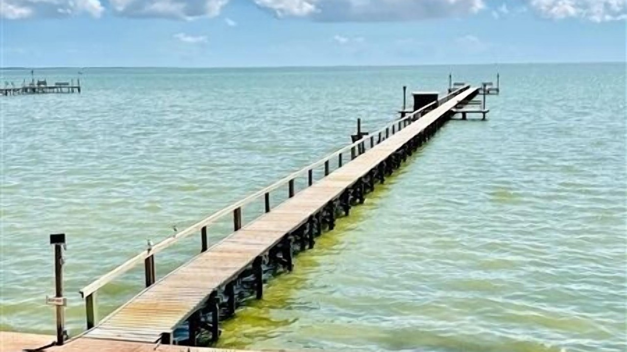 Photo of Others in Port Mansfield