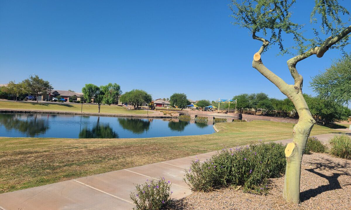 Photo of Others in Maricopa