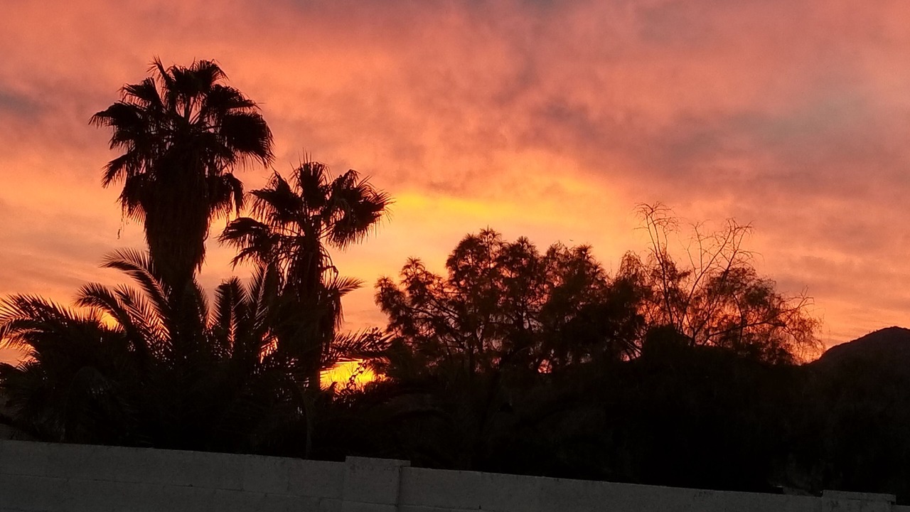 Photo of Outdoor in Ahwatukee Foothills