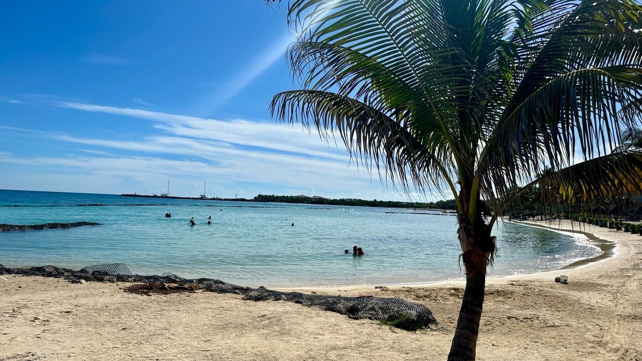 Photo of Others in Puerto Aventuras