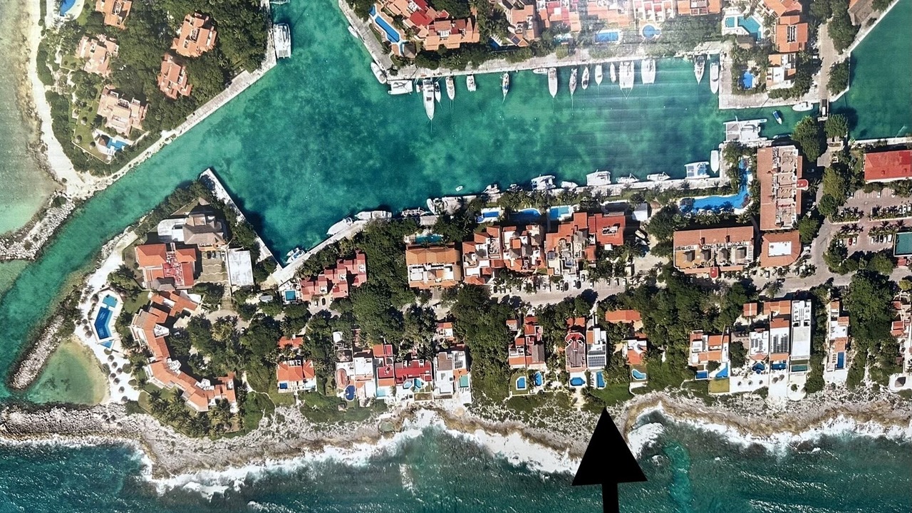 Photo of Others in Puerto Aventuras