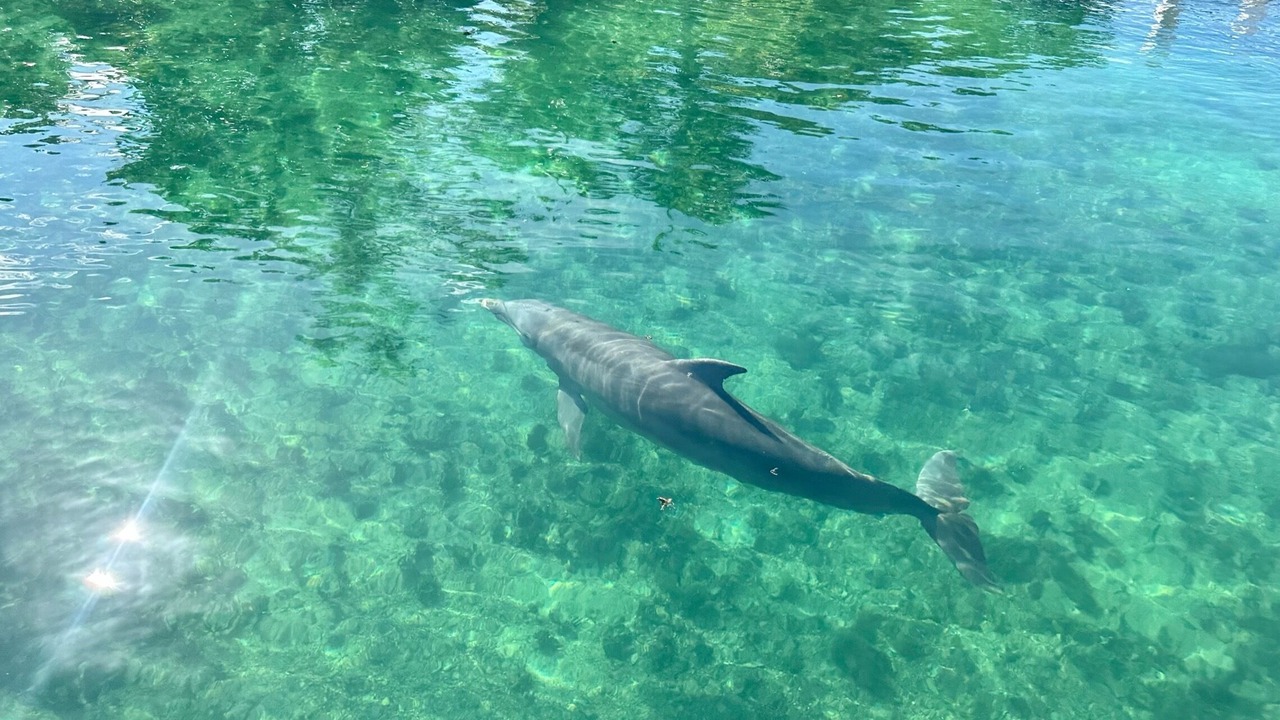Photo of Outdoor in Puerto Aventuras