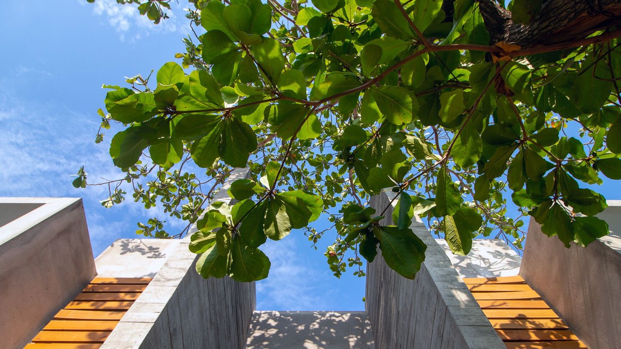Photo of Outdoor in Brisas de Zicatela