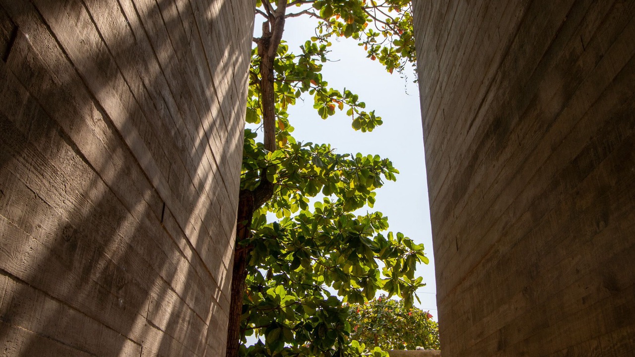 Photo of Outdoor in Brisas de Zicatela