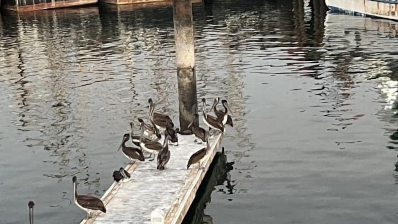Photo of Others in El Puerto