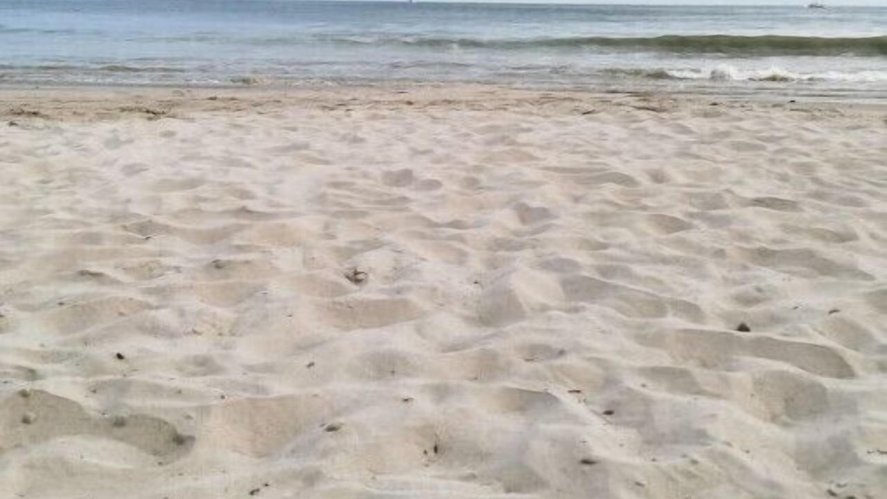 Photo of Others in Punta de Mita