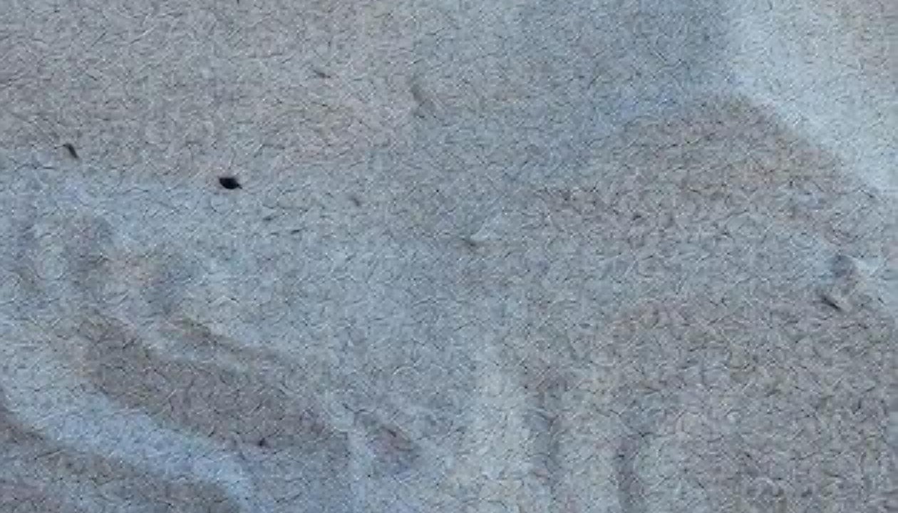 Photo of Others in Punta de Mita