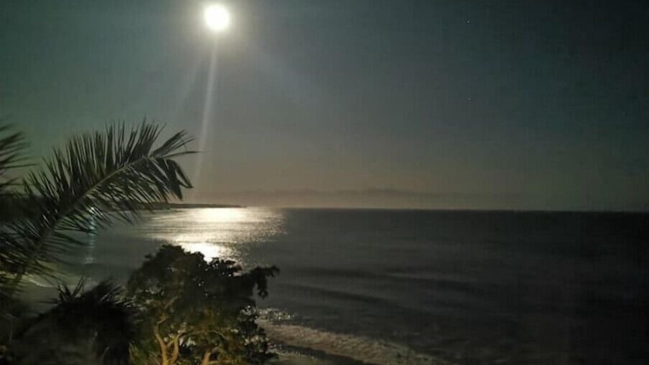 Photo of Others in Punta de Mita