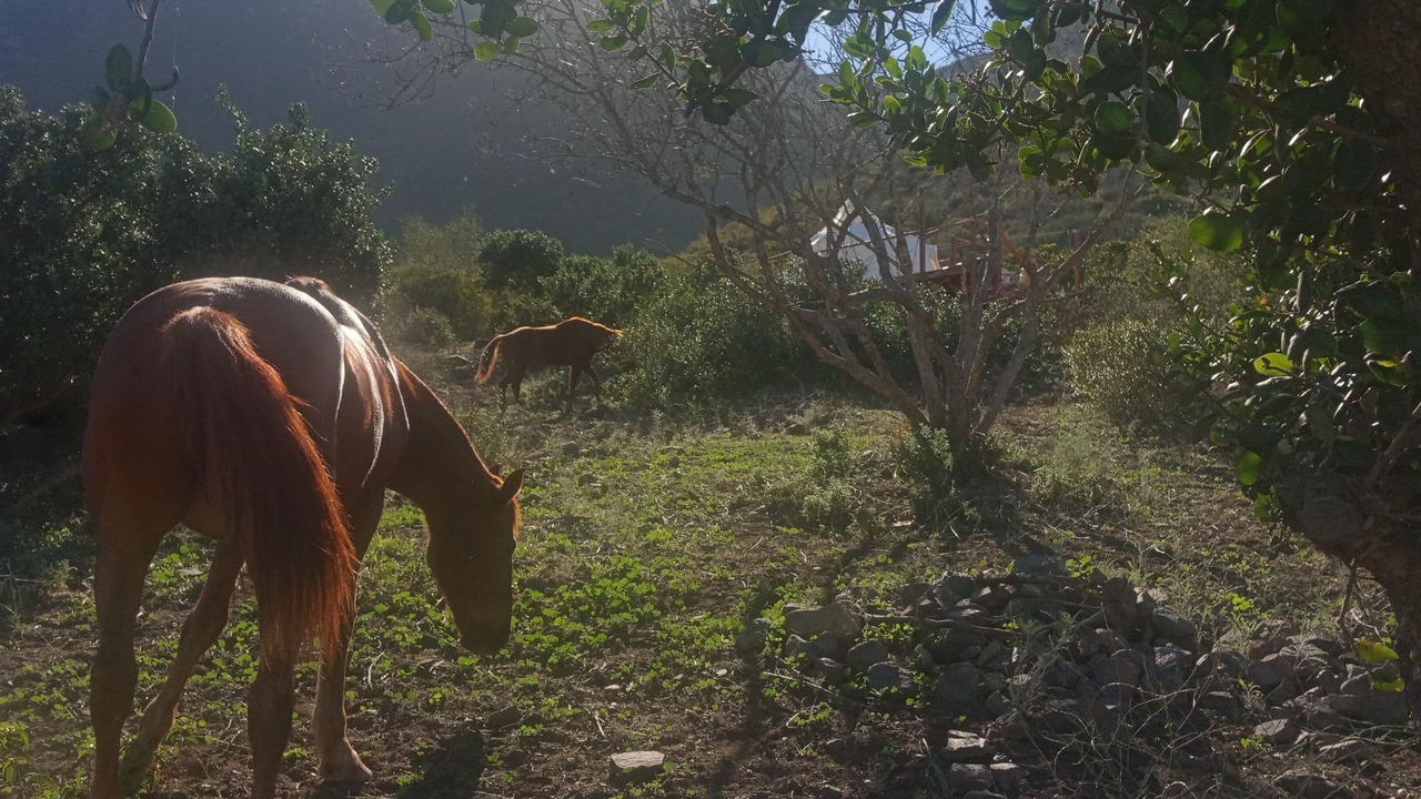 Photo of Outdoor in Cabo Punta Banda