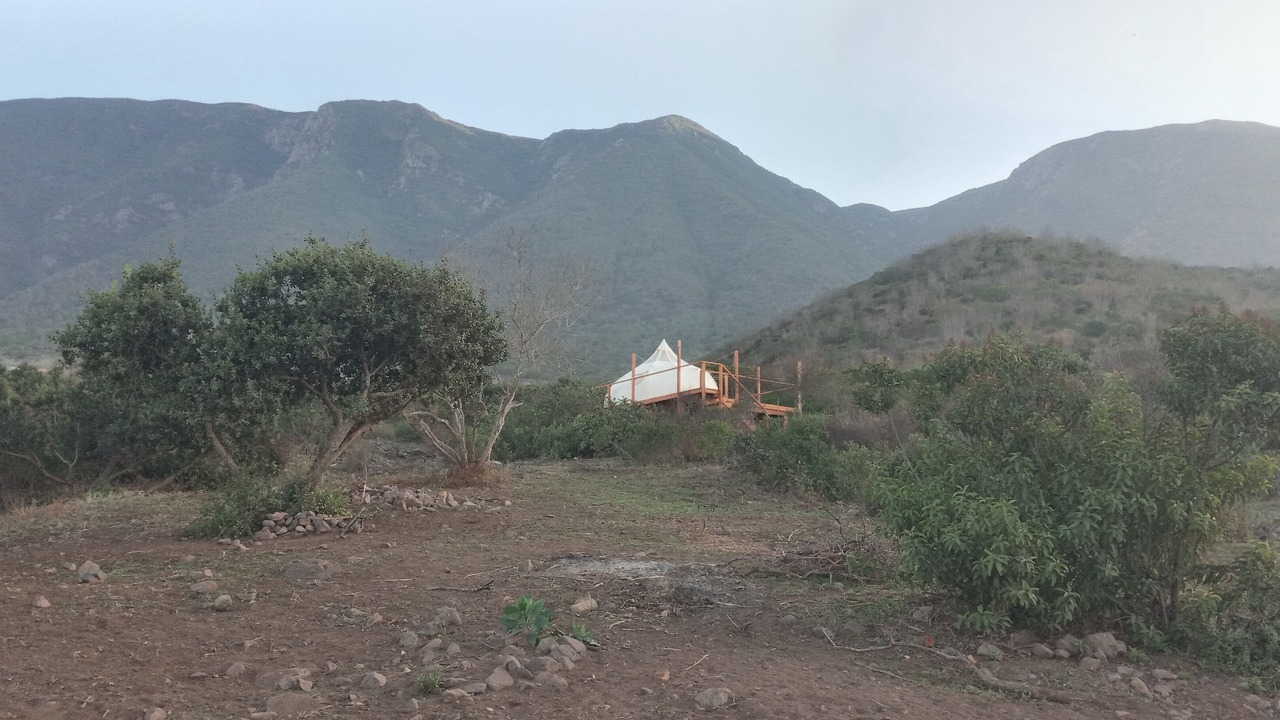 Photo of Others in Cabo Punta Banda
