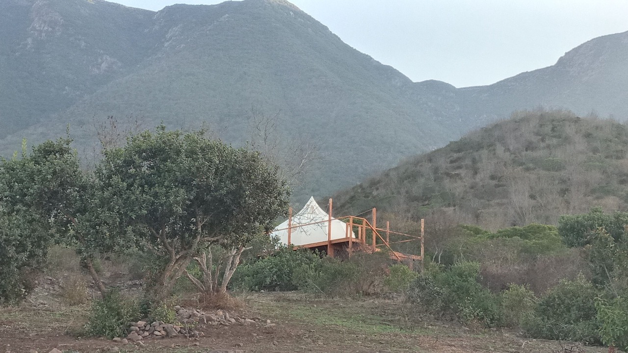 Photo of Others in Cabo Punta Banda