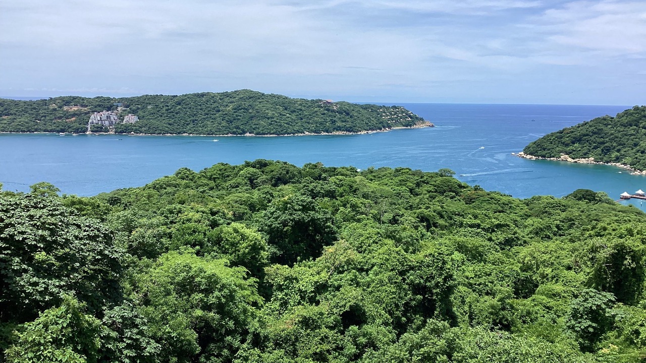 Photo of Others in Pichilingue